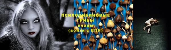 спайс Саяногорск