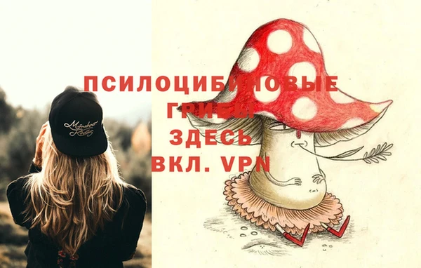 спайс Саяногорск
