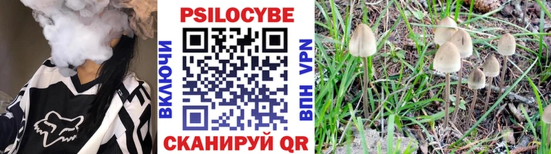 Псилоцибиновые грибы Psilocybine cubensis  Нестеровская 